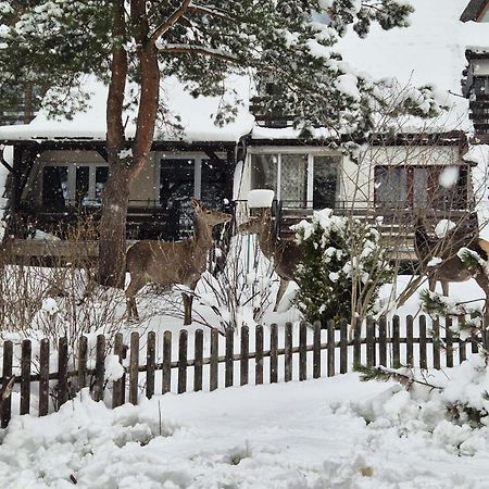 Apartament Wokol Stolu Zakopane Eksteriør billede